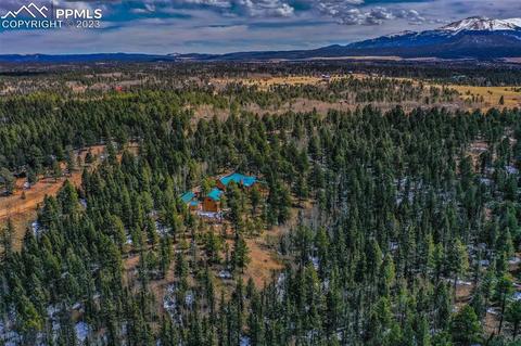 265 Broken Wheel Dr, Divide, CO 80814 photo 44