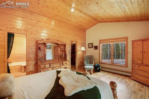 265 Broken Wheel Dr, Divide, CO 80814 photo 12
