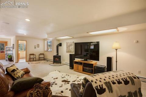 265 Broken Wheel Dr, Divide, CO 80814 photo 22