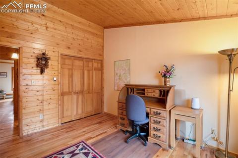 265 Broken Wheel Dr, Divide, CO 80814 photo 21