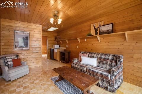 265 Broken Wheel Dr, Divide, CO 80814 photo 34