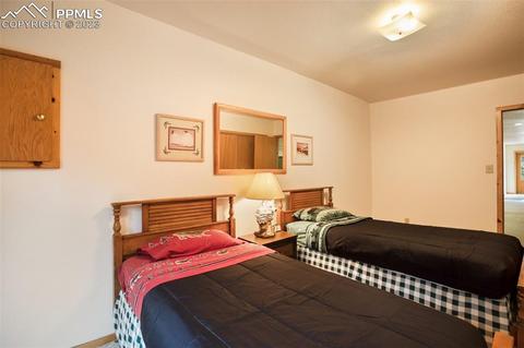 265 Broken Wheel Dr, Divide, CO 80814 photo 25