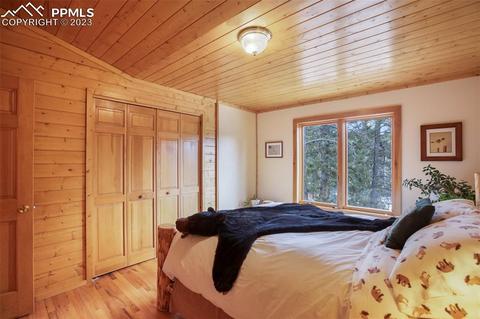 265 Broken Wheel Dr, Divide, CO 80814 photo 18
