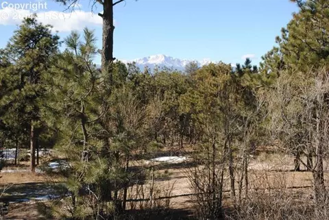 10980 Thomas Rd, Colorado Springs, CO 80908 photo 19