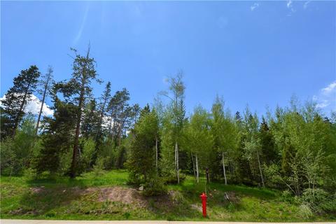 1575 Golden Eagle Rd, Silverthorne, CO 80498 photo 5