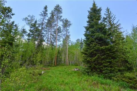 1575 Golden Eagle Rd, Silverthorne, CO 80498 photo 4