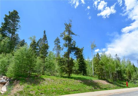 1575 Golden Eagle Rd, Silverthorne, CO 80498 photo 3