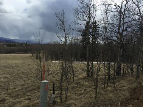 50 Antelope Cir, Como, CO 80432 photo 7