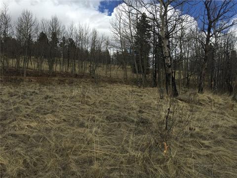 50 Antelope Cir, Como, CO 80432 photo 16