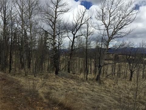 50 Antelope Cir, Como, CO 80432 photo 2