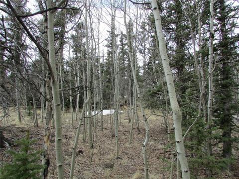 378 Warrior Cir, Como, CO 80432 photo 2