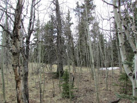 378 Warrior Cir, Como, CO 80432 photo 4