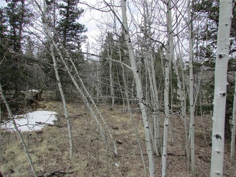 378 Warrior Cir, Como, CO 80432 photo 7
