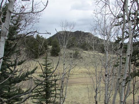 378 Warrior Cir, Como, CO 80432 photo 1