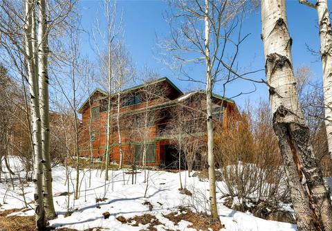 703 Willowbrook Rd, Silverthorne, CO 80498 photo 21