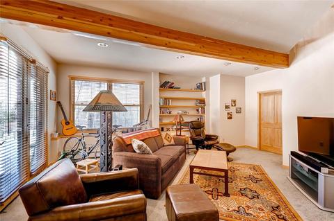 703 Willowbrook Rd, Silverthorne, CO 80498 photo 12