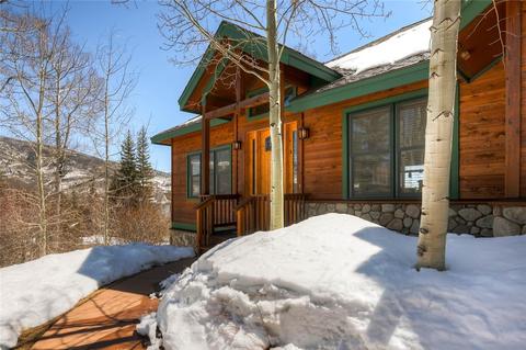 703 Willowbrook Rd, Silverthorne, CO 80498 photo 23