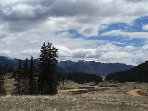 1337 Chief Trl, Como, CO 80432 photo 1