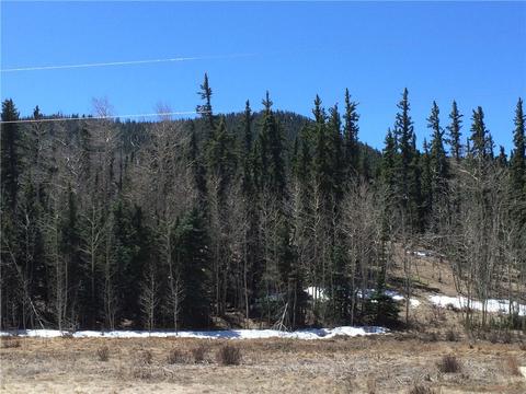 1337 Chief Trl, Como, CO 80432 photo 6