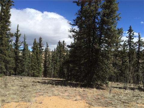 1337 Chief Trl, Como, CO 80432 photo 4