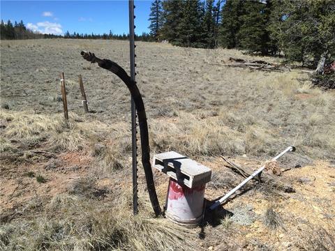 1337 Chief Trl, Como, CO 80432 photo 17