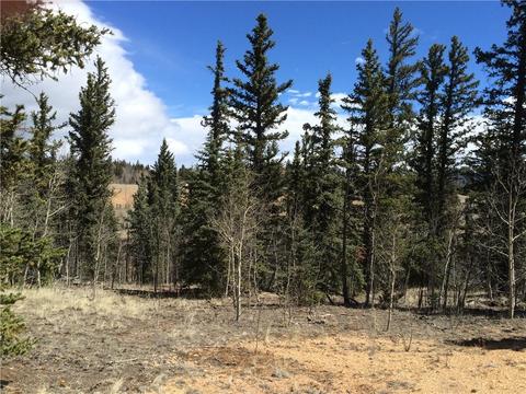 1337 Chief Trl, Como, CO 80432 photo 8