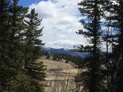 1337 Chief Trl, Como, CO 80432 photo 5