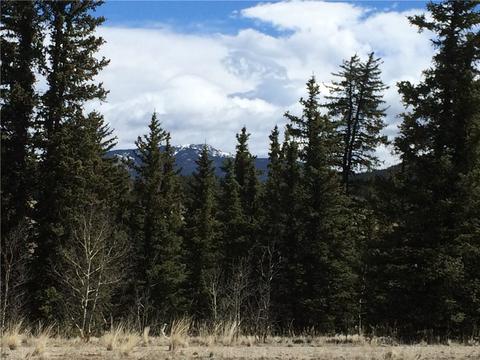1337 Chief Trl, Como, CO 80432 photo 2