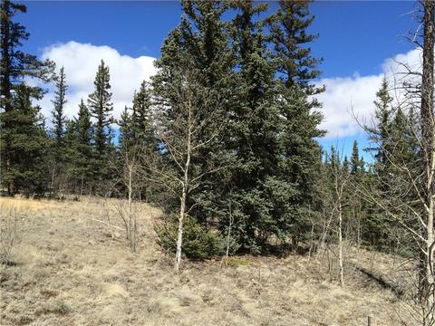 1337 Chief Trl, Como, CO 80432 photo 10