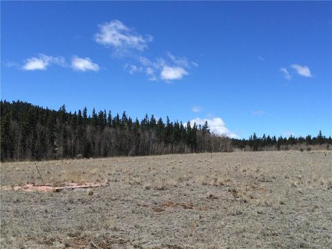 1337 Chief Trl, Como, CO 80432 photo 9