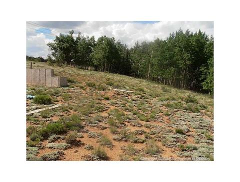 1655 Wampum Ln, Como, CO 80432 photo 7