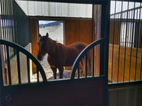163 S South Park Dr, Como, CO 80432 photo 21