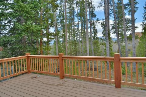104 Solomons Ln, Silverthorne, CO 80498 photo 11