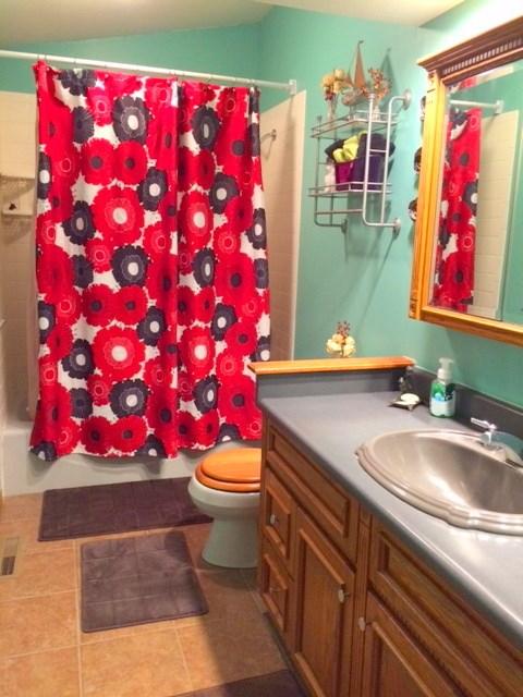 104 Solomons Ln, Silverthorne, CO 80498 photo 20