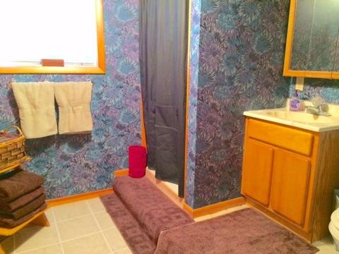 104 Solomons Ln, Silverthorne, CO 80498 photo 17