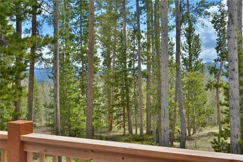 104 Solomons Ln, Silverthorne, CO 80498 photo 3