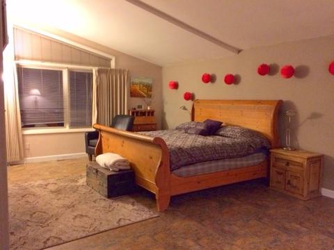 104 Solomons Ln, Silverthorne, CO 80498 photo 13