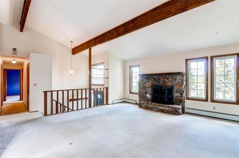 311 Alpine Rd, Dillon, CO 80435 photo 5
