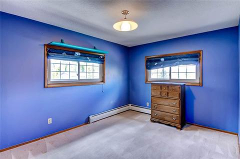 311 Alpine Rd, Dillon, CO 80435 photo 15
