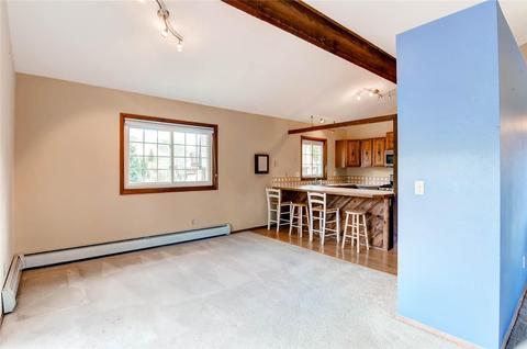 311 Alpine Rd, Dillon, CO 80435 photo 6
