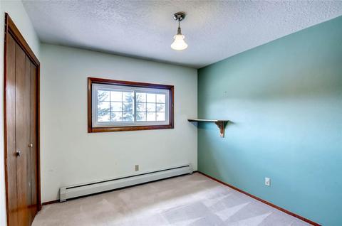 311 Alpine Rd, Dillon, CO 80435 photo 14