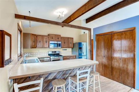 311 Alpine Rd, Dillon, CO 80435 photo 9