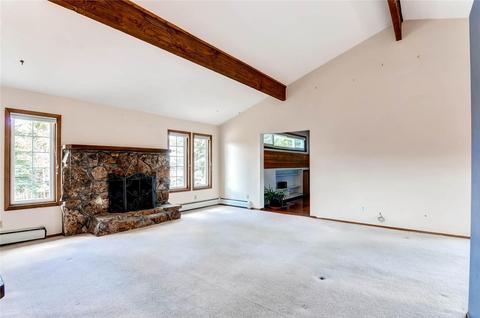 311 Alpine Rd, Dillon, CO 80435 photo 3