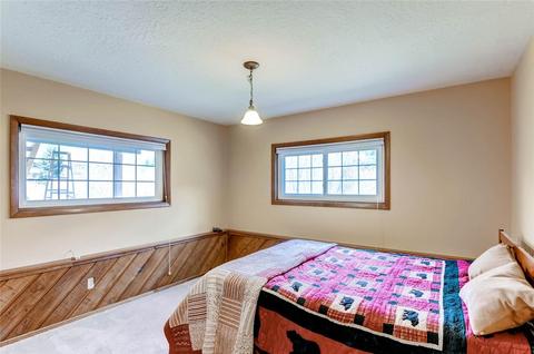 311 Alpine Rd, Dillon, CO 80435 photo 20