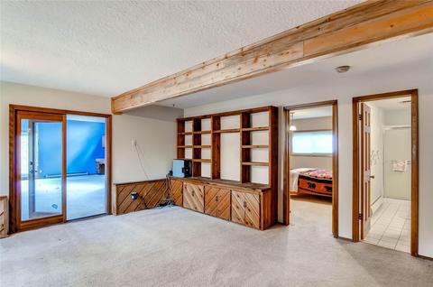 311 Alpine Rd, Dillon, CO 80435 photo 19