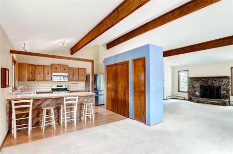 311 Alpine Rd, Dillon, CO 80435 photo 7