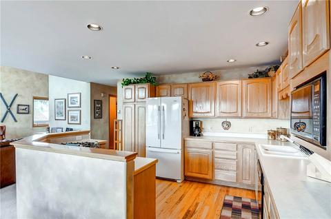 22 Lacy Dr, Silverthorne, CO 80498 photo 10