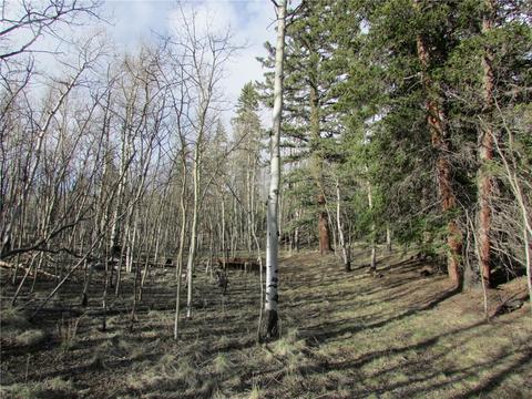 212 Ute Cir, Como, CO 80432 photo 3