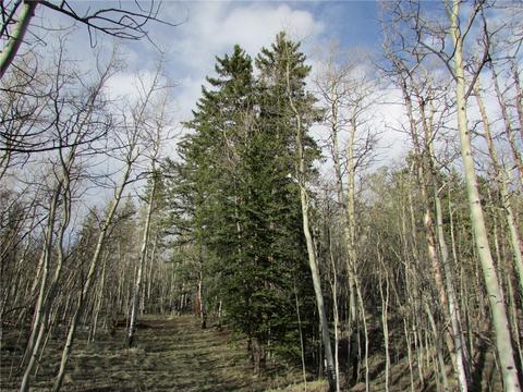 212 Ute Cir, Como, CO 80432 photo 4