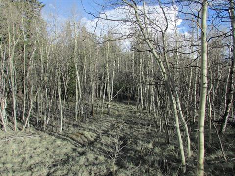 212 Ute Cir, Como, CO 80432 photo 2